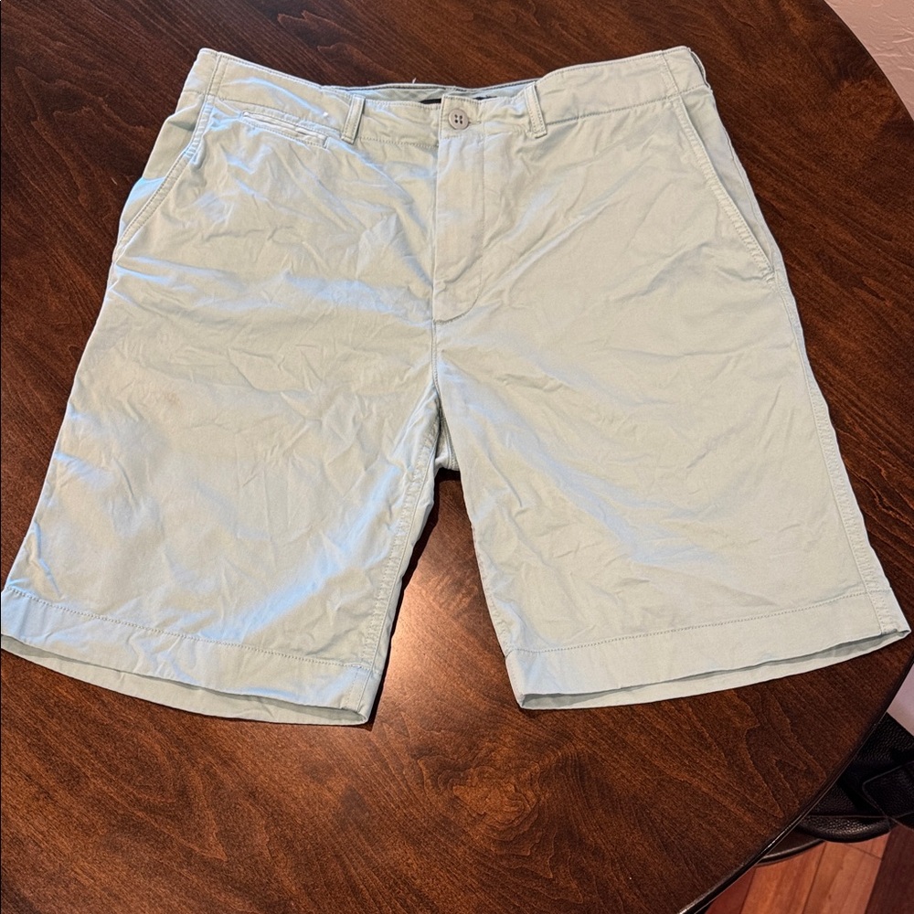 Daniel Cremieux Men's Mint Shorts